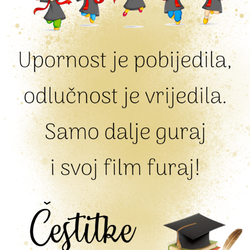 Diploma II