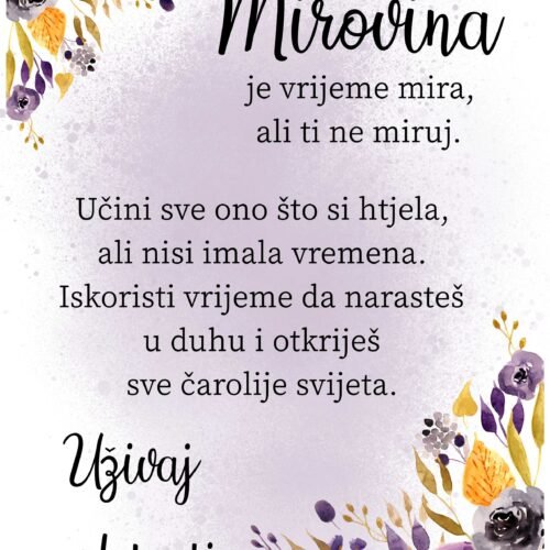 Mirovina III